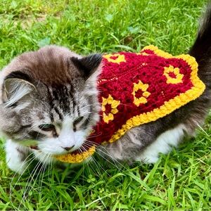 Handmade Garnet and Gold Pet Sweater